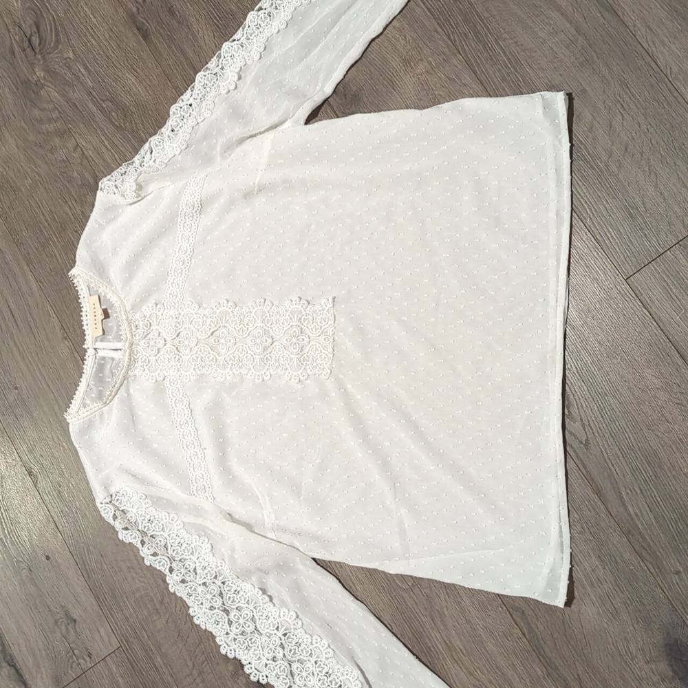 Anthropologie Promesa Lace Sheer Sleeved Blouse